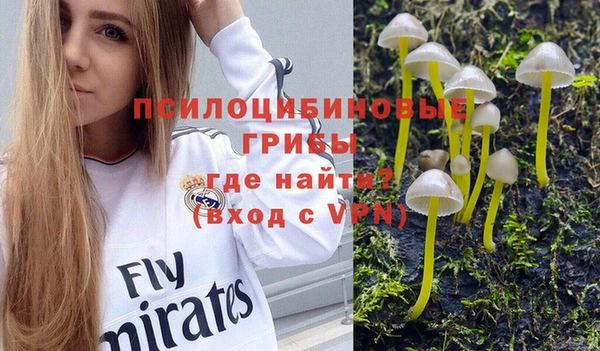 хмурый Наволоки