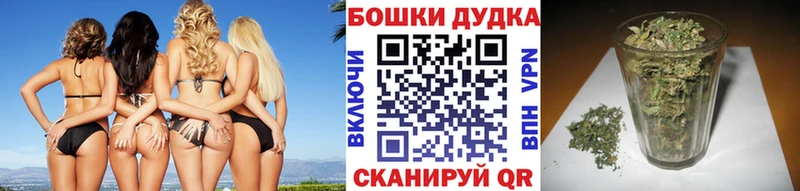 Марихуана гибрид  Остров 